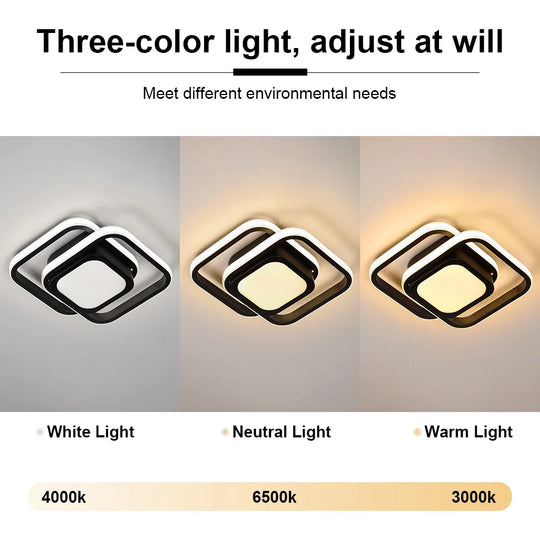 LED Aisle Ceiling Lights Small Ceiling Lamp Modern 2 Rings Led Surface Lighting Fixture for Home Hallway Balcony Office Lustre